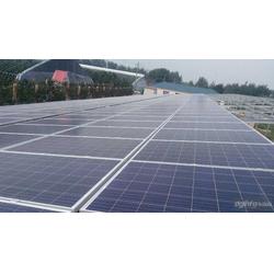 金鼎盛世 以服務至上的理念，引領太陽能發電行業新篇章